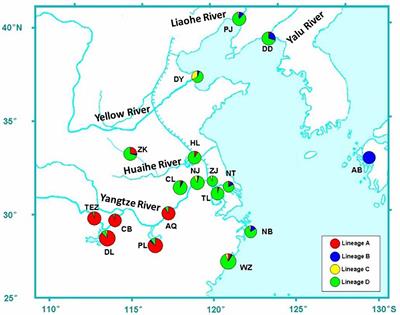 The Mitochondrial Markers Provide New Insights Into the Population Demographic History of Coilia nasus With Two Ecotypes (Anadromous and Freshwater)